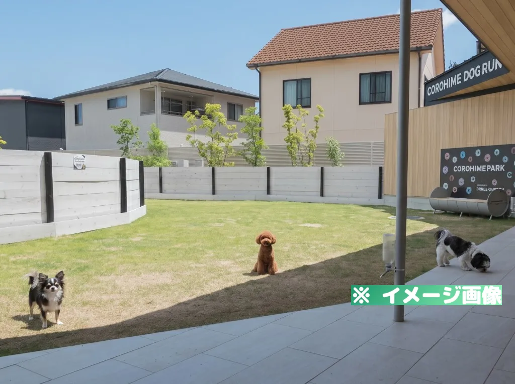 COROHIMEドッグラン
