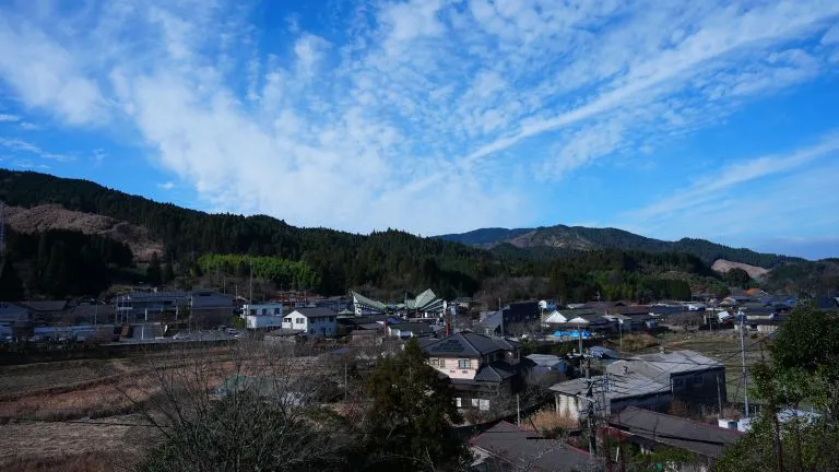 THE DOG CAMPUS -KOISHIWARA-