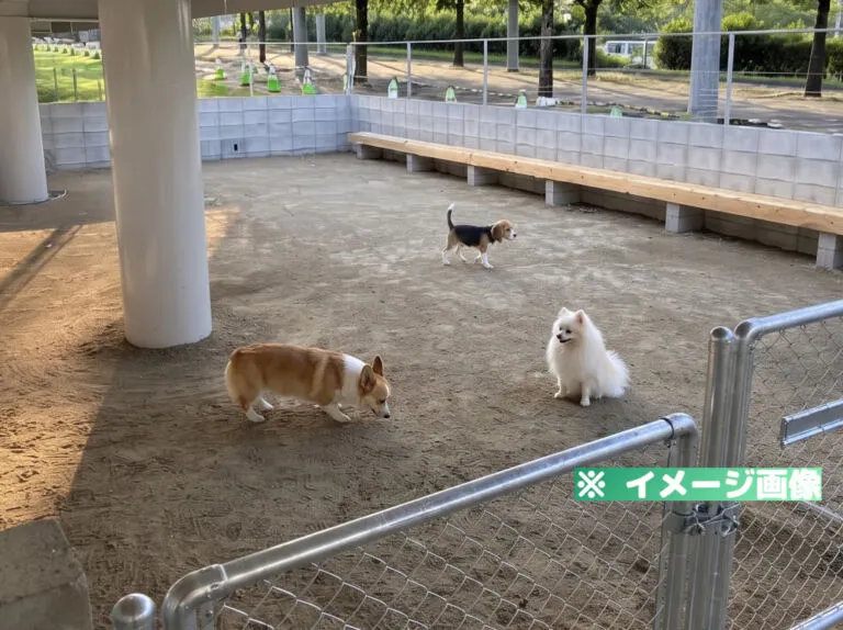 カラダうごかす森 Harappa ドッグラン