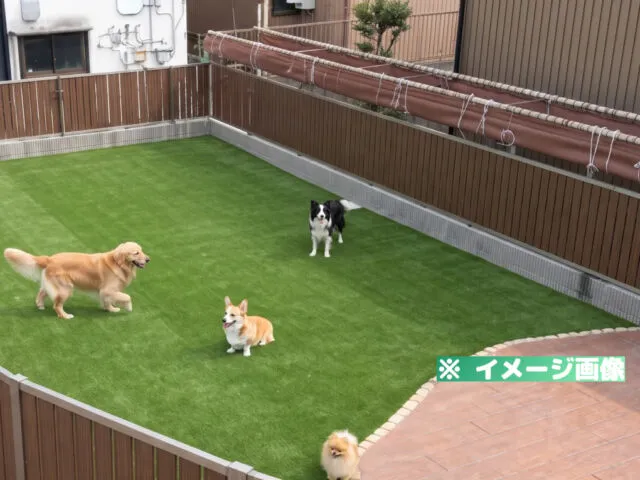 VOWWOW（バウワウ）運動公園店 ドッグラン