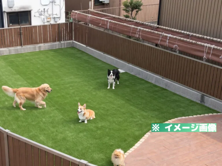 VOWWOW（バウワウ）運動公園店 ドッグラン