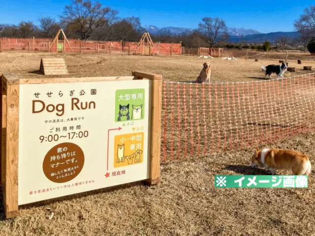 会津美里町せせらぎ公園ドッグラン