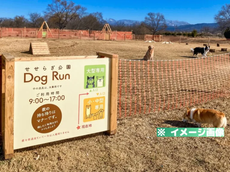 会津美里町せせらぎ公園ドッグラン