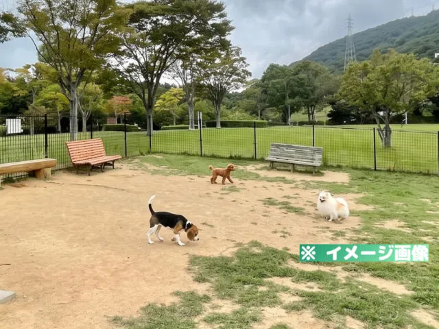 赤穂ピクニック公園 ドッグラン