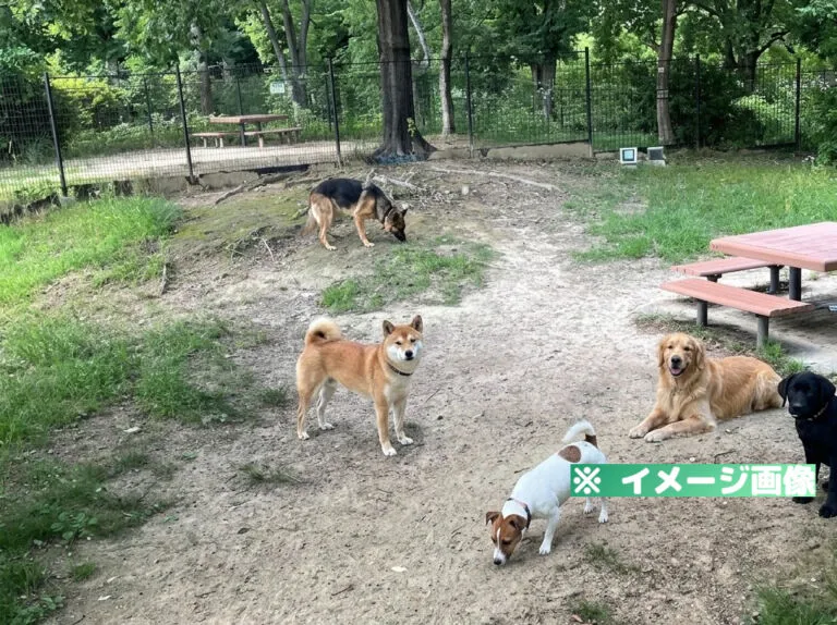 安濃サービスエリア（下り）ドッグラン