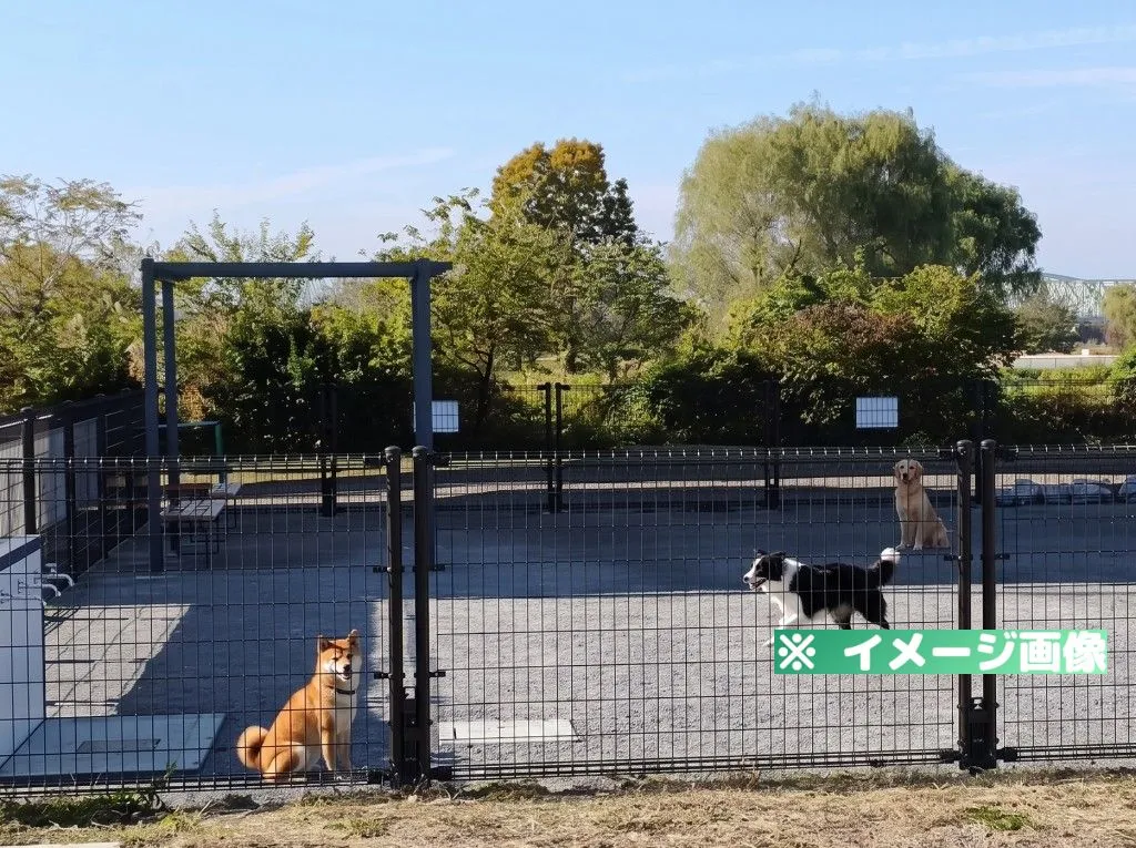 荒川岩淵関緑地ドッグラン
