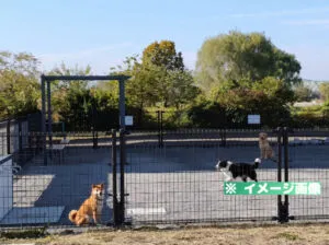 荒川岩淵関緑地ドッグラン