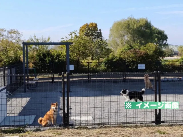 荒川岩淵関緑地ドッグラン