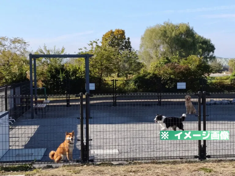 荒川岩淵関緑地ドッグラン