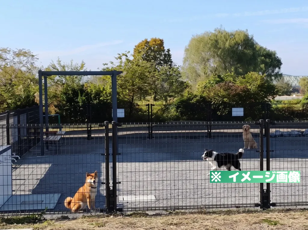 荒川岩淵関緑地ドッグラン