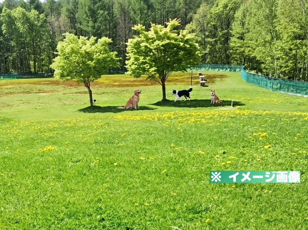 旭川市21世紀の森 ドッグラン
