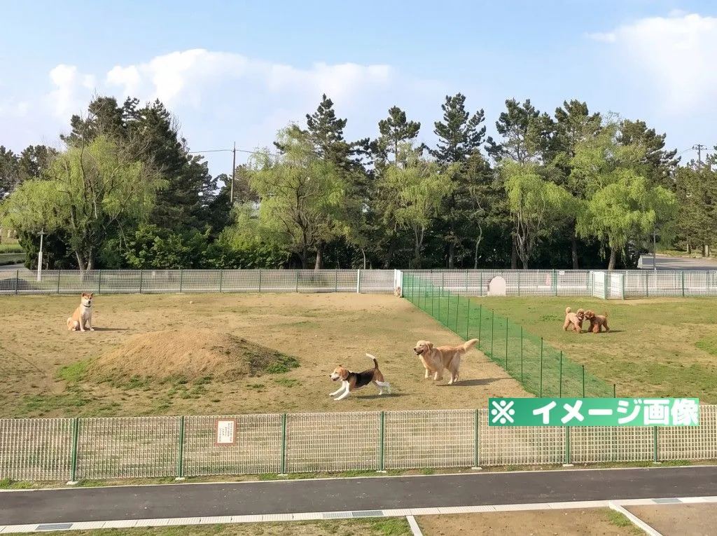 足洗潟公園ドッグラン