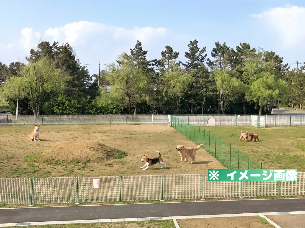 足洗潟公園ドッグラン