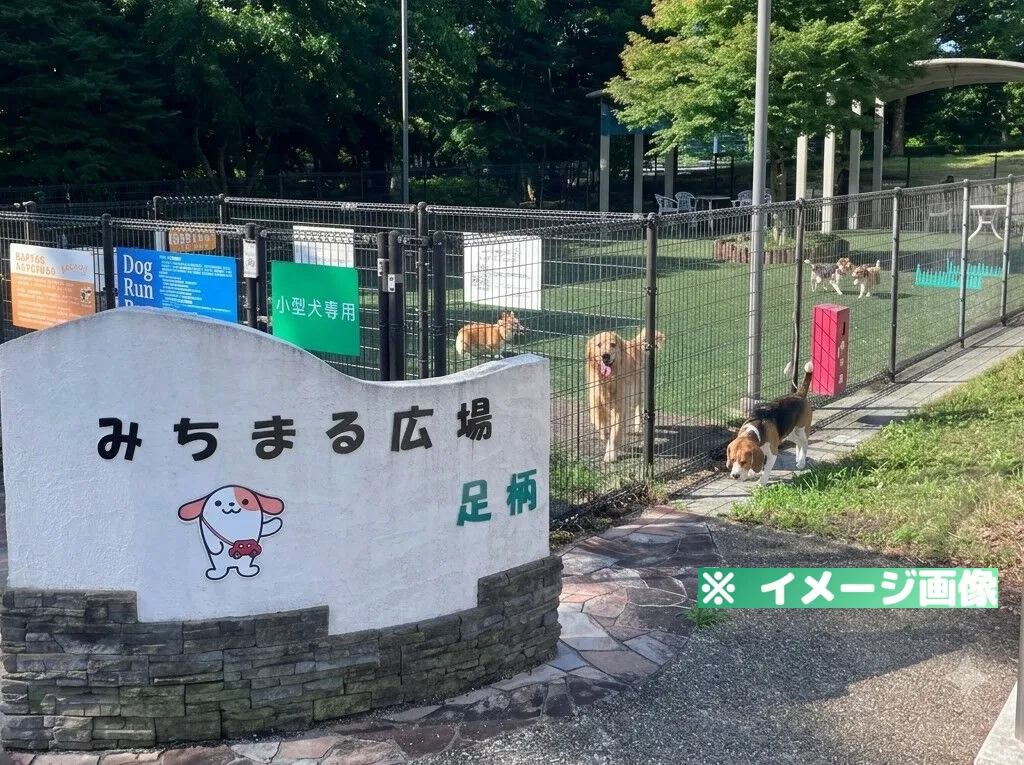 足柄サービスエリア(下り)ドッグラン
