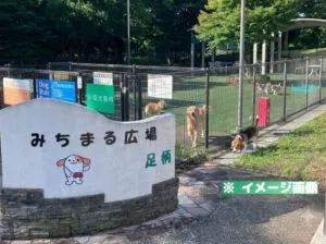足柄サービスエリア（下り）ドッグランのイメージ画像