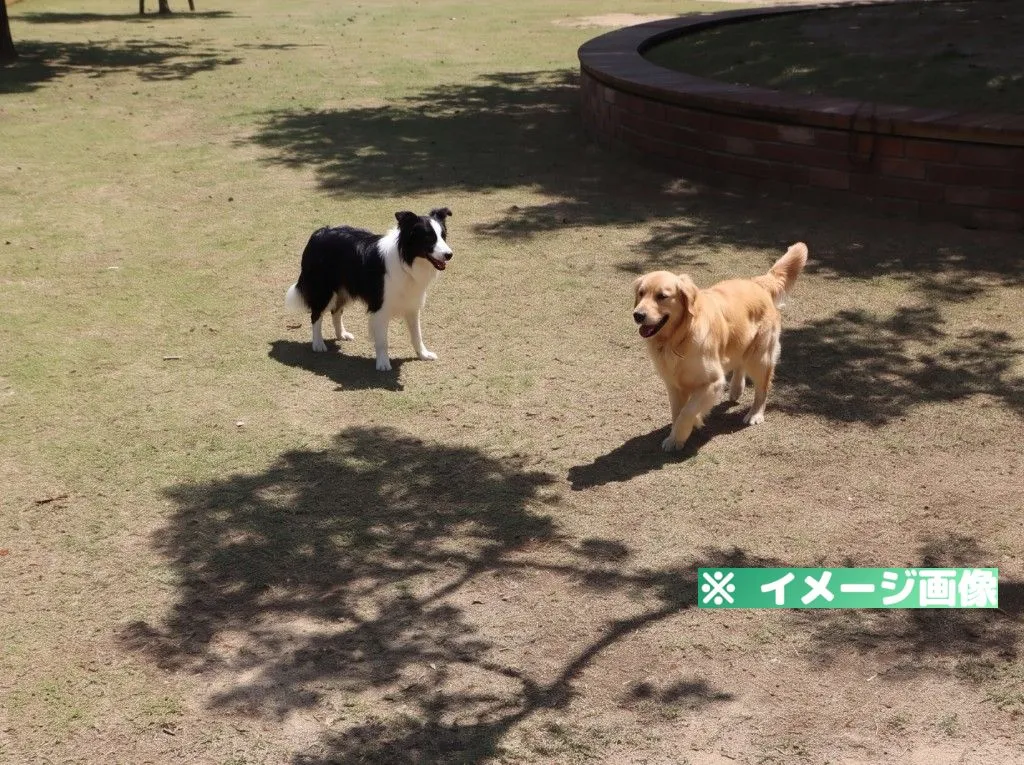 芦北海浜総合公園 ドッグラン