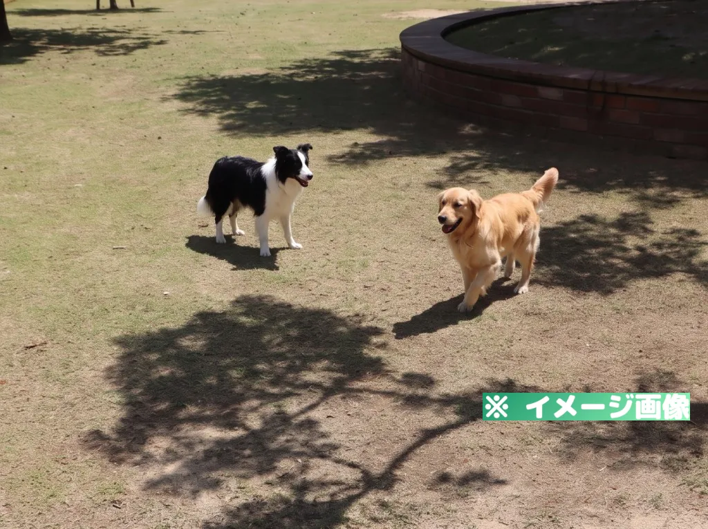 芦北海浜総合公園 ドッグランのイメージ画像