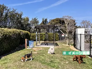 淡路サービスエリア（上り）ドッグラン