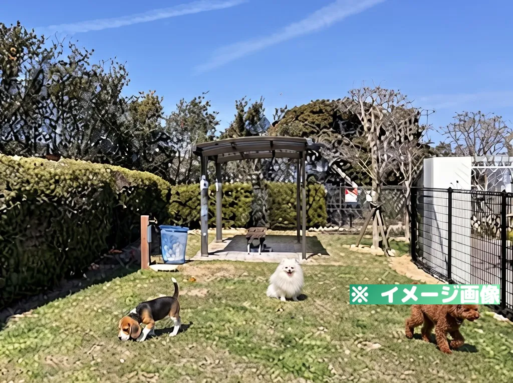 淡路サービスエリア（上り）ドッグラン