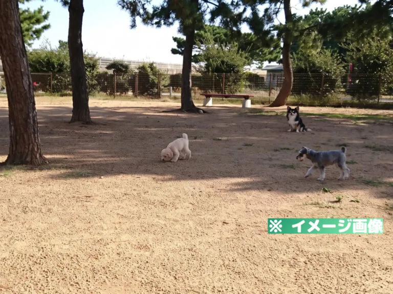 アズマ建設 ドッグラン川内（徳島市小松海岸緑地ドッグラン）