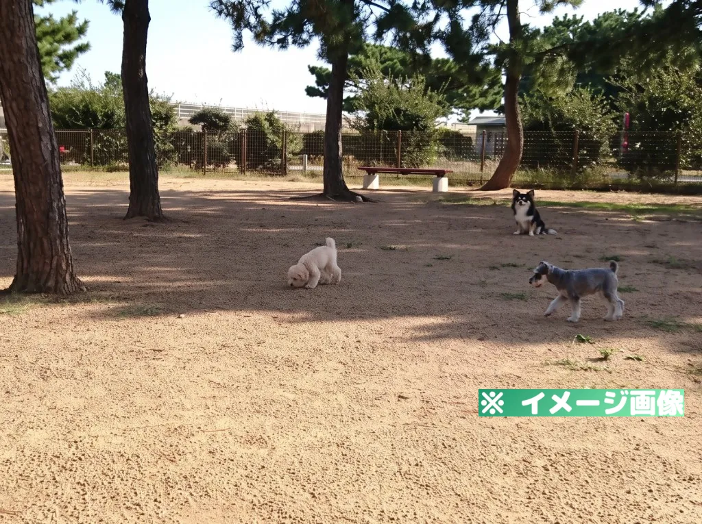 アズマ建設 ドッグラン川内