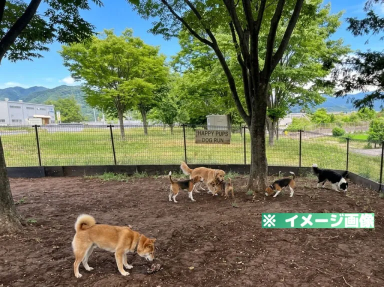 梓川サービスエリア（下り）ドッグラン