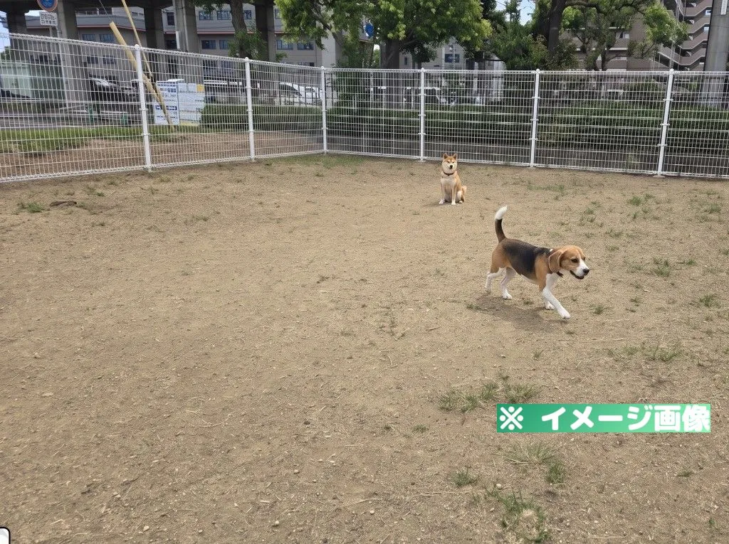 2号公園（六番丁ビオトープ公園）ドッグラン