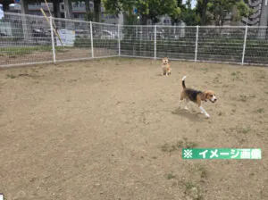 2号公園（六番丁ビオトープ公園）ドッグランのイメージ画像