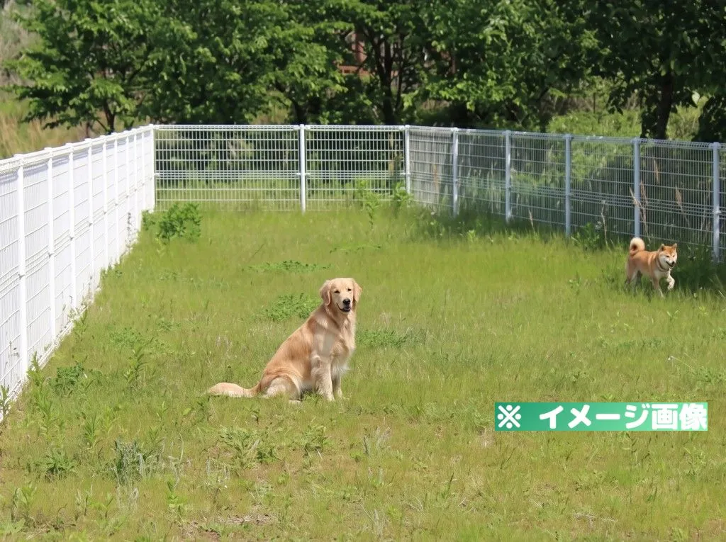ボタ山わんぱく公園 ドッグラン