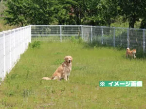 ボタ山わんぱく公園 ドッグランのイメージ画像