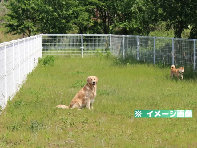 ボタ山わんぱく公園 ドッグラン
