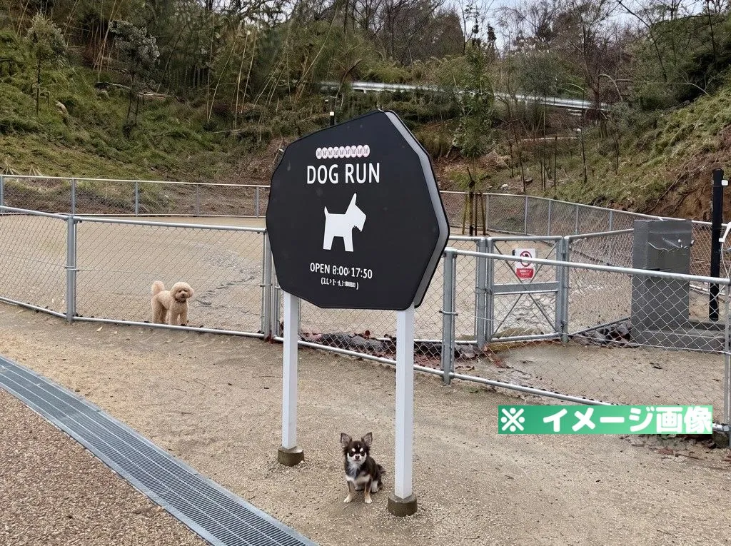 ダムパークいばきた ドッグラン