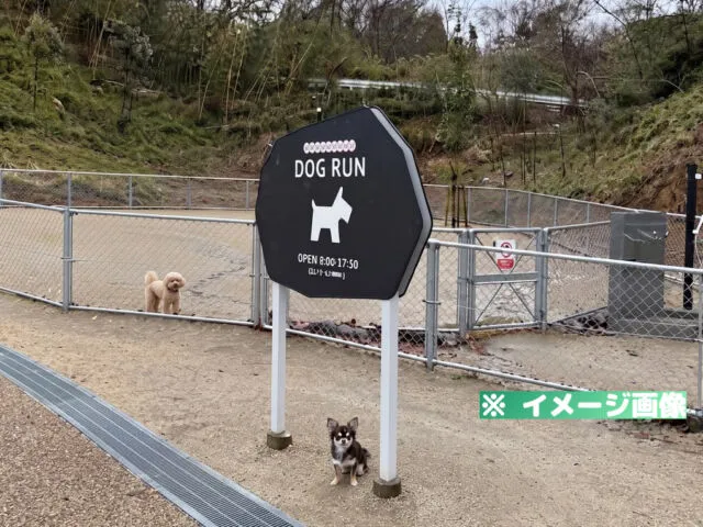 ダムパークいばきた ドッグラン