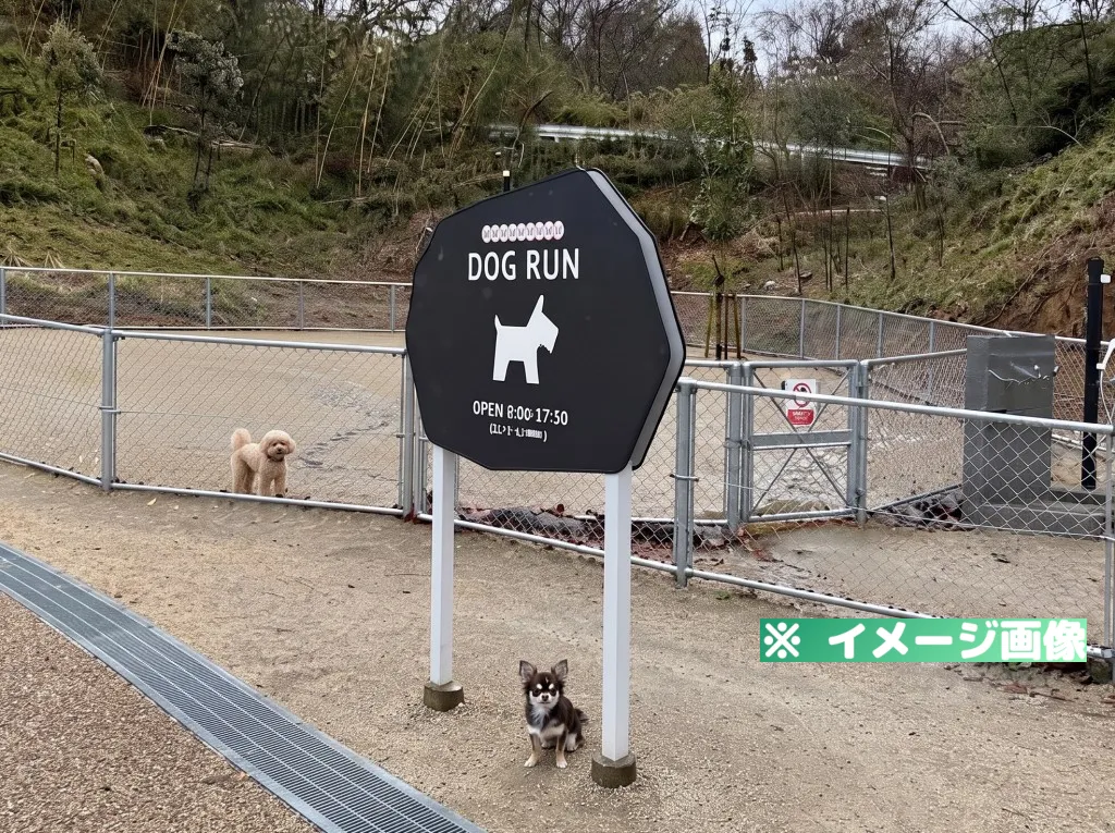 ダムパークいばきた ドッグラン