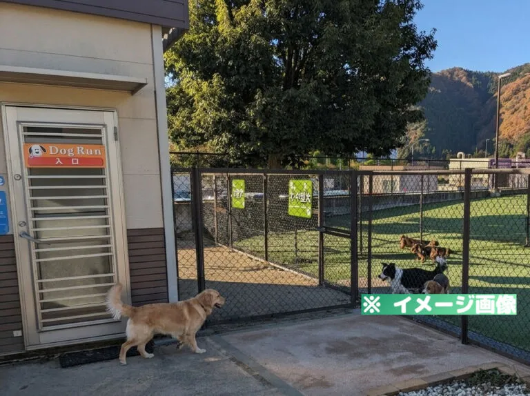 談合坂サービスエリア（下り）ドッグラン