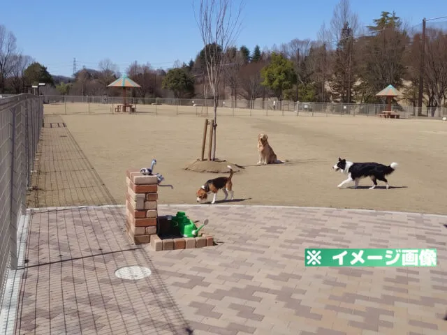 ドッグパークおおた