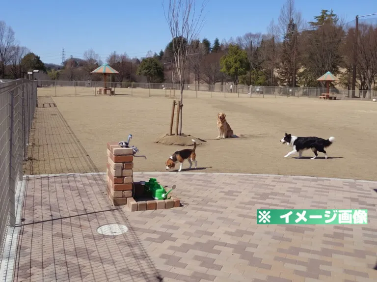 ドッグパークおおた