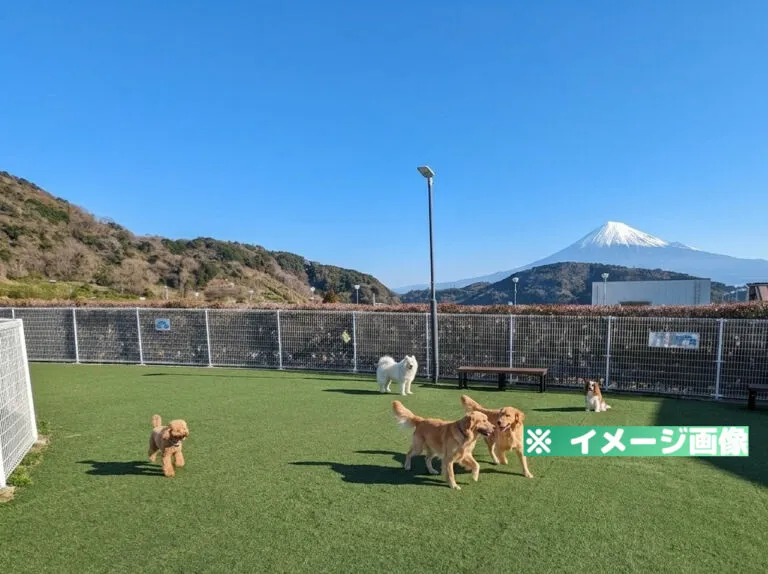EXPASA富士川（上り）ドッグラン