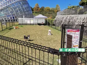 山梨県笛吹川フルーツ公園 ドッグラン