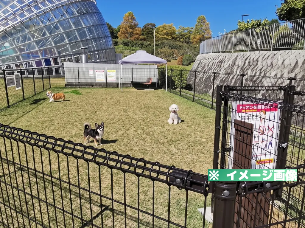 山梨県笛吹川フルーツ公園 ドッグラン