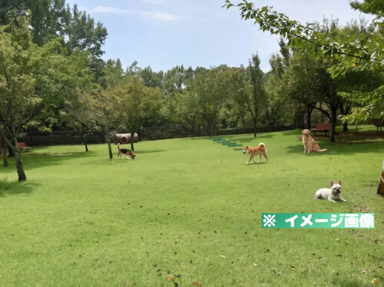 富士川クラフトパーク ドッグラン
