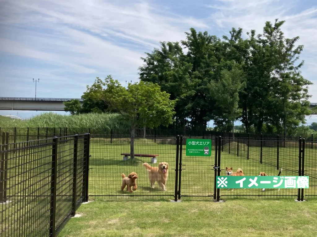 富士川町親水公園ドッグラン