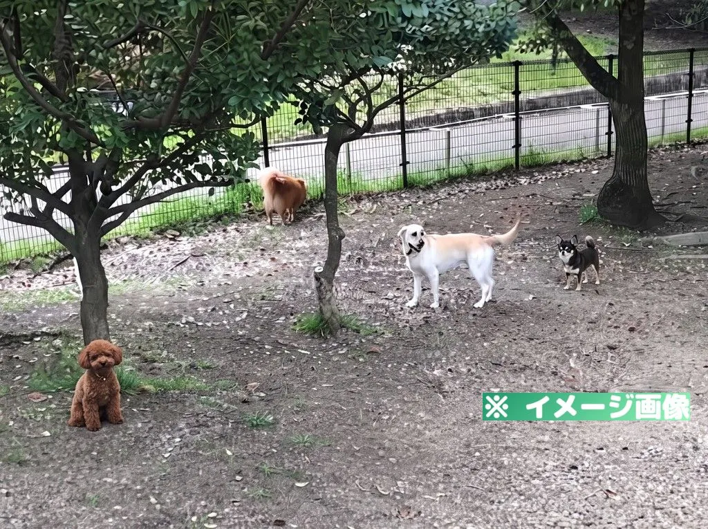 深北緑地 ドッグラン