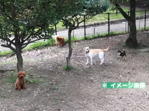 深北緑地 ドッグラン