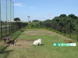 福万寺町市民運動広場南面 ドッグラン