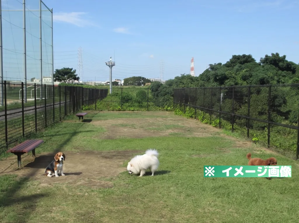福万寺町市民運動広場南面 ドッグラン