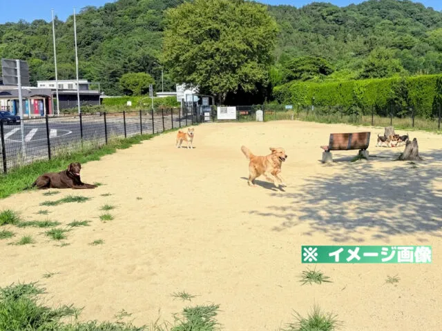 福山サービスエリア（上り）ドッグラン