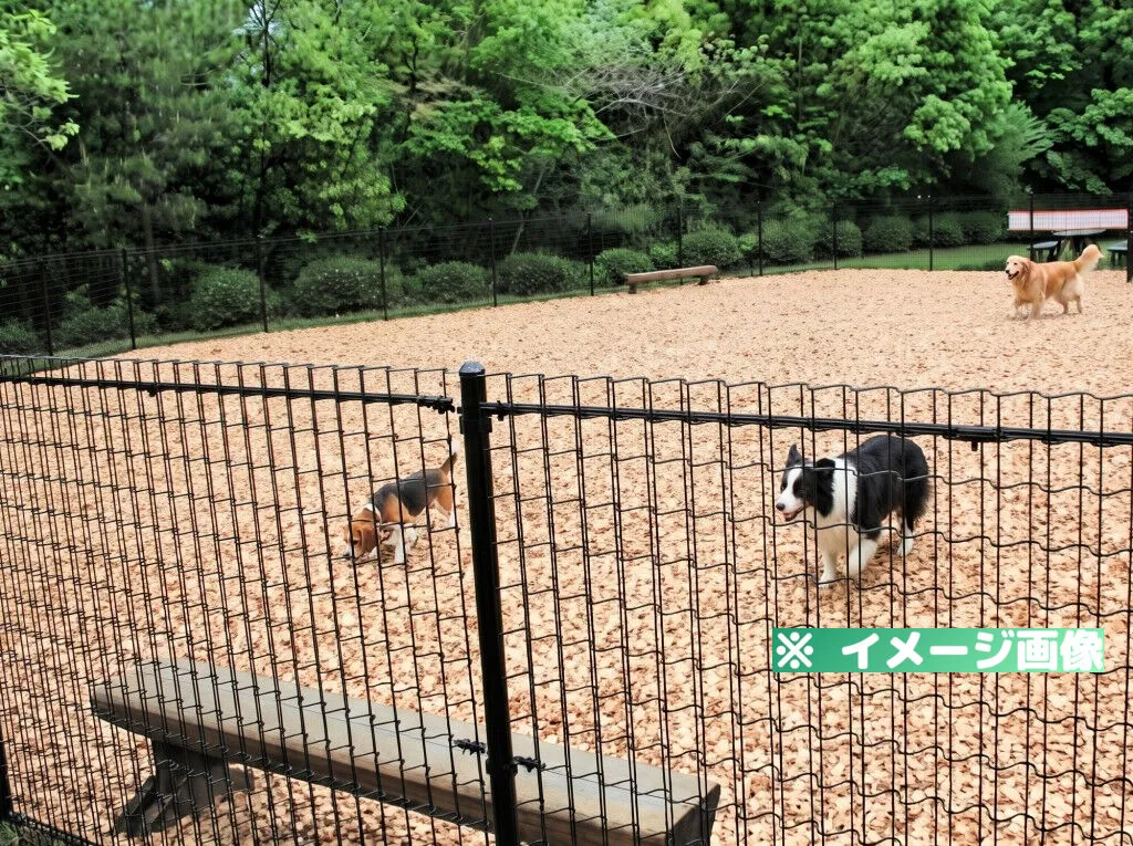 ぎふ清流里山公園 ドッグラン