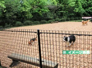 ぎふ清流里山公園 ドッグランのイメージ画像
