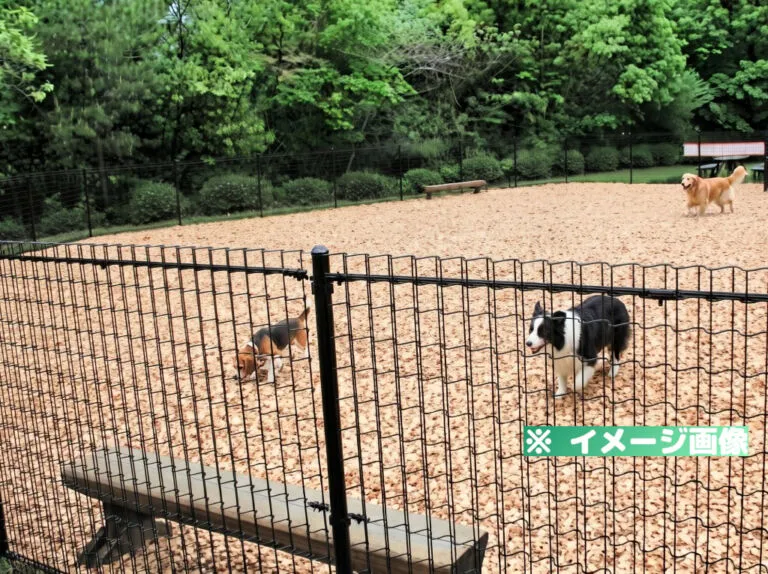 ぎふ清流里山公園 ドッグラン
